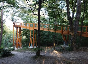 hungary/western-transdanubia/attraction/tavirozsa-tanosveny