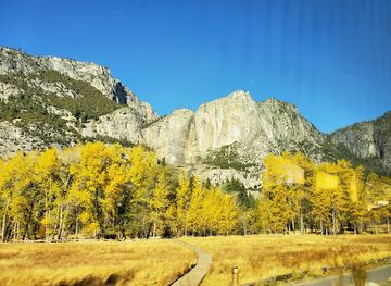california/yosemite-national-park/attraction/yosemite-mountain-sugar-pine-railroad