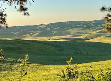 idaho/palouse/attraction/kamiak-butte-county-park