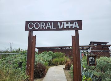 the-bahamas/lucaya/attraction/coral-vita-coral-farm