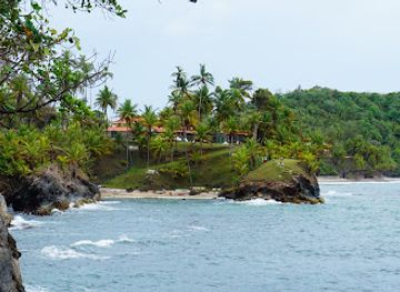 trinidad-and-tobago/maracas-bay/attraction/terrence-cove