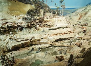 australia/melbourne/attraction/museum-of-chinese-australian-history