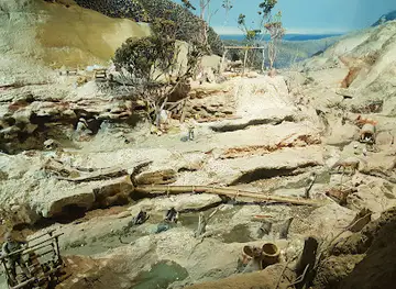 Museum of Chinese Australian History
