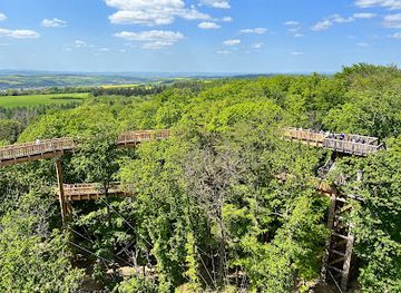 germany/taunus/attraction/baumwipfelweg-bad-camberg