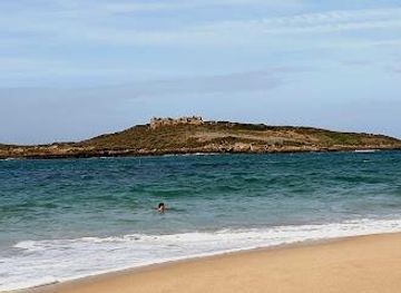 portugal/costa-vicentina/attraction/pessegueiro-island