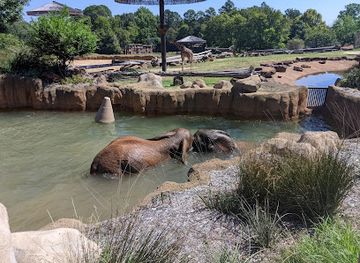 texas/tyler/attraction/caldwell-zoo