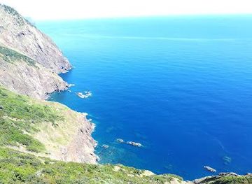 portugal/madeira/attraction/caminho-do-larano