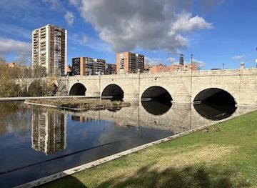 spain/madrid/attraction/segovia-bridge