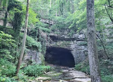 alabama/cherokee-rock-village/attraction/sauta-cave-national-wildlife-refuge