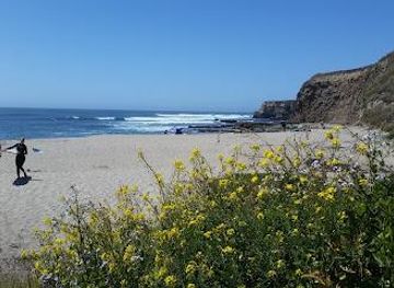 california/santa-clara/attraction/american-abalone-farms