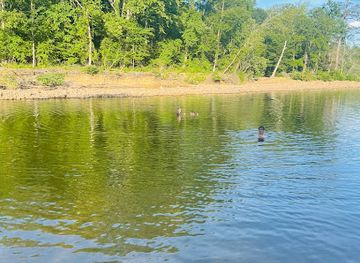 alabama/weiss-lake/attraction/canyon-mouth-picnic-area