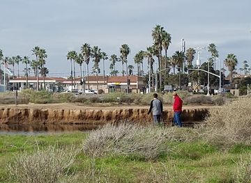california/huntington-beach/attraction/bolsa-chica-conservancy