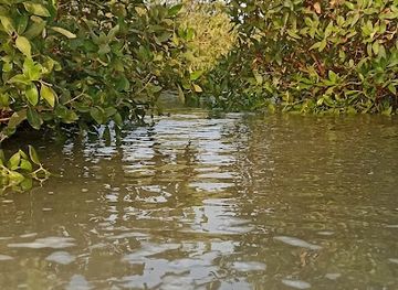 qatar/al-thakira-mangroves/attraction/dhakira-beach