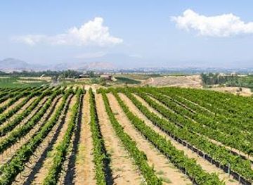new-mexico/carlsbad/attraction/mount-palomar-winery