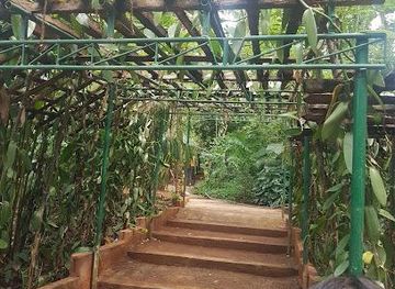 sri-lanka/sigiriya/attraction/sirilak-spice-and-herbal-botanical-garden