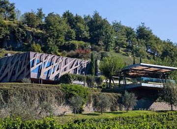 croatia/rovinj/attraction/kozlovic-winery