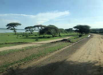 tanzania/singida/attraction/lake-basotu