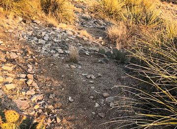 new-mexico/sandia-peak-tramway/attraction/rock-on-rock