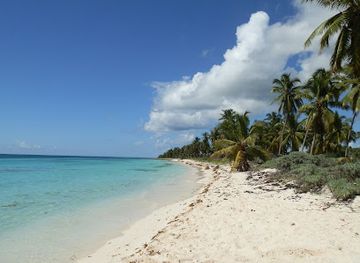 dominican-republic/punta-cana-bavaro/attraction/tatos-palm-beach