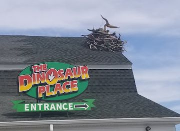 connecticut/windham-county/attraction/the-dinosaur-place