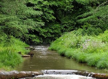 pennsylvania/allegheny-national-forest/attraction/sizerville-state-park