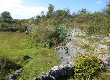 ireland/county-clare/attraction/old-quarry