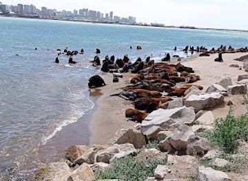 argentina/mar-del-plata/attraction/paseo-artesanal-banquina-de-pescadores