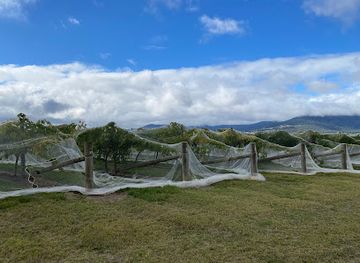 australia/grampians/attraction/mount-langi-ghiran-vineyard