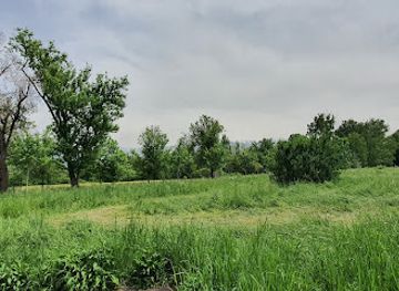 kazakhstan/ile-alatau-national-park/attraction/vostochnoye-pole-botanicheskogo-sada