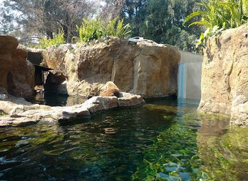 mexico/central-mexico/attraction/acuario-michin-guadalajara