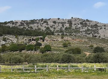 greece/dodecanese/attraction/faethon-miniature-horses-farm