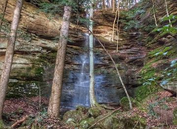 alabama/sipsey-wilderness/attraction/thompson-trailhead