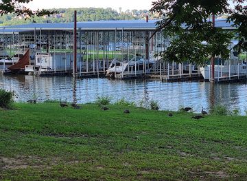 arkansas/pinnacle-mountain-state-park/attraction/maumelle-park