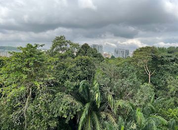 singapore/jurong/attraction/chestnut-nature-park