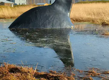 Thunderstorm sculpture