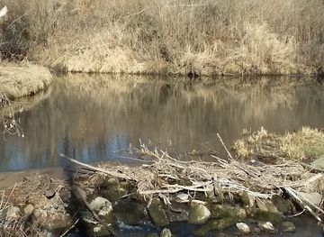 wisconsin/southwest-wisconsin/attraction/rountree-branch-trail