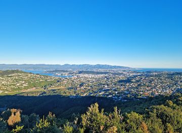 new-zealand/wellington/attraction/johnston-hill-scenic-reserve