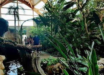 italy/sardinia/attraction/parco-sardegna-in-miniatura-parco-dei-dinosauri