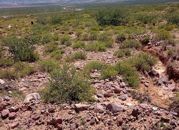 argentina/quebrada-de-humahuaca/attraction/finca-pucara