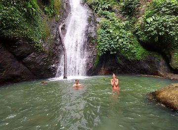 grenada/black-bay-beach/attraction/au-coin-waterfalls