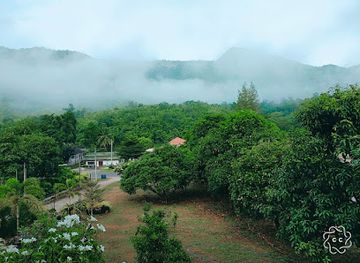 thailand/erawan-national-park/attraction/rai-phi-je-arun-erawan