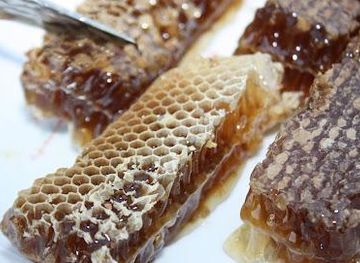 greece/zakynthos/attraction/dias-apiary-bijen-boerderij