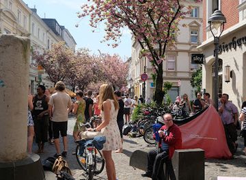 germany/bonn/attraction/kirschblute