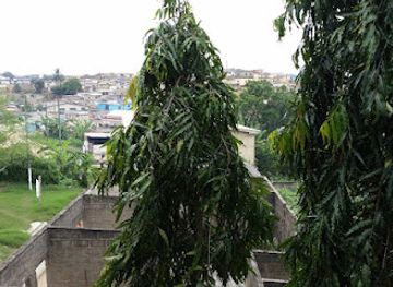 ghana/north-east-region/attraction/kakumdo