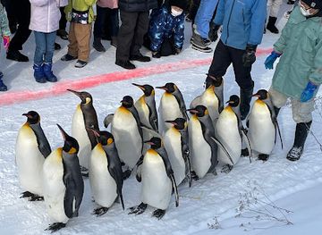japan/hokkaido/attraction/asahiyama-park