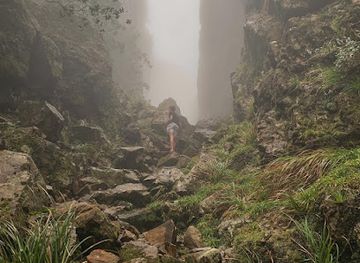 south-africa/table-mountain-national-park/attraction/dark-gorge