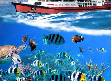 israel/red-sea-coral-reef/attraction/glass-bottom-boat-israel-yam
