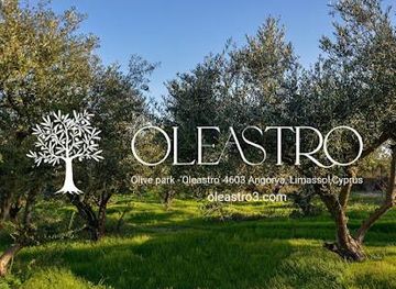 cyprus/polis-chrysochous/attraction/oleastro-olive-park-mill-museum
