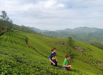 india/munnar/attraction/green-munnar-trekking
