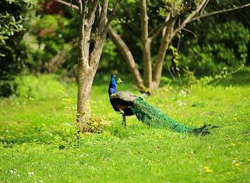 new-jersey/asbury-park/attraction/staten-island-zoo